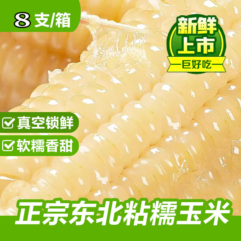 【可试吃】头茬粘糯大棒东北白糯玉米棒香甜东北黏苞米新鲜营养