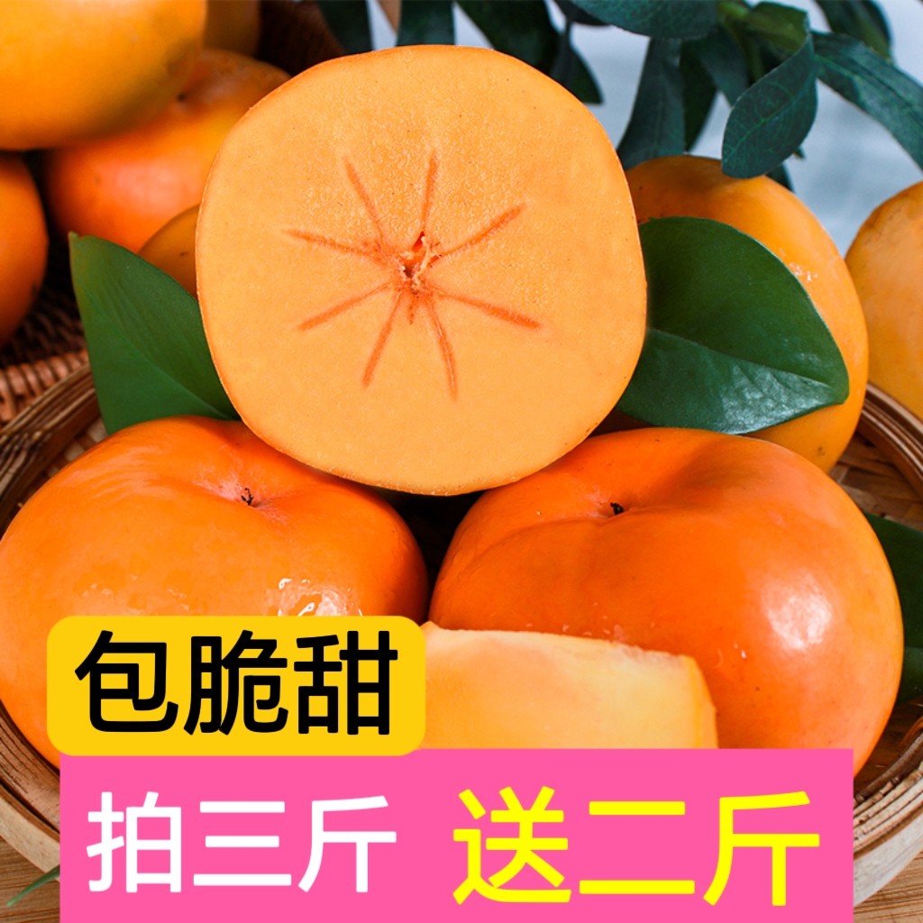 正宗广西巧克力脆柿硬柿子非山西阳丰脆甜柿子5斤包邮