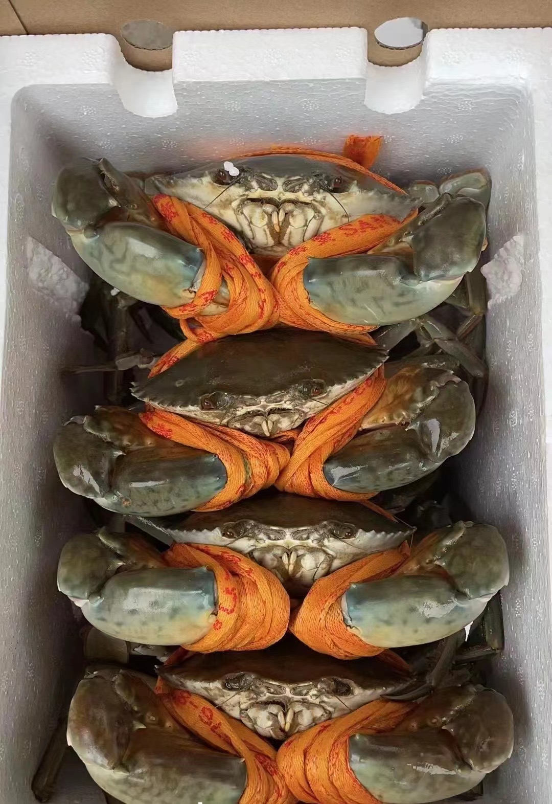 【福建省包邮】本地奄仔蟹每只3-4.5两，2斤包邮鲜活勿放冰箱