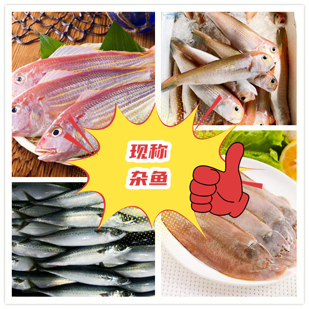 优选套餐杂鱼 汕尾城区纯野生海捕鱼3斤-5斤冷链（包邮）食用 冷冻