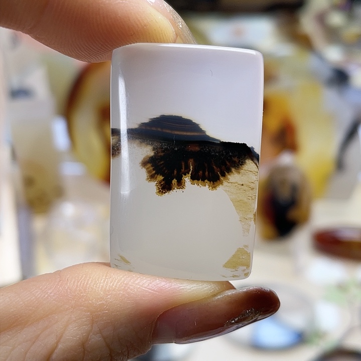 玛瑙/玉髓颈饰未镶嵌