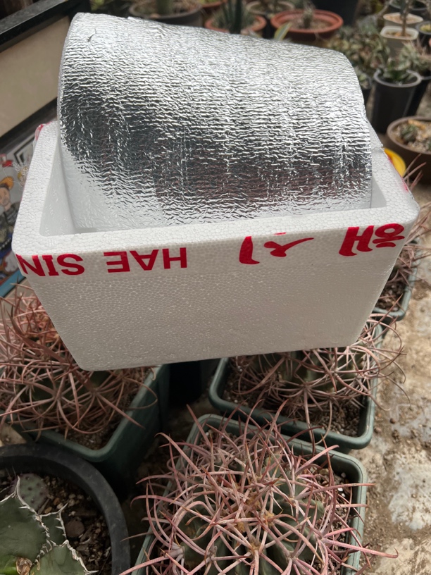 【空运保暖箱】植物相关 偏远邮费冬季寄养协议 随赠品发货后不退款