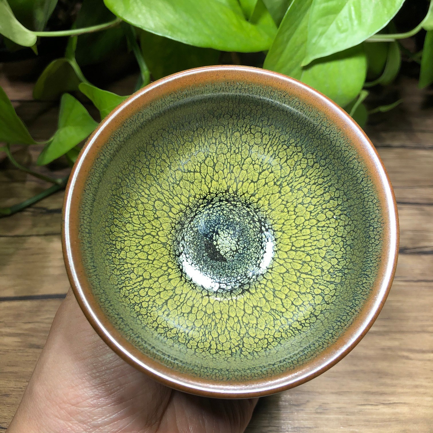 绿鹧鸪建盏茶杯主人杯