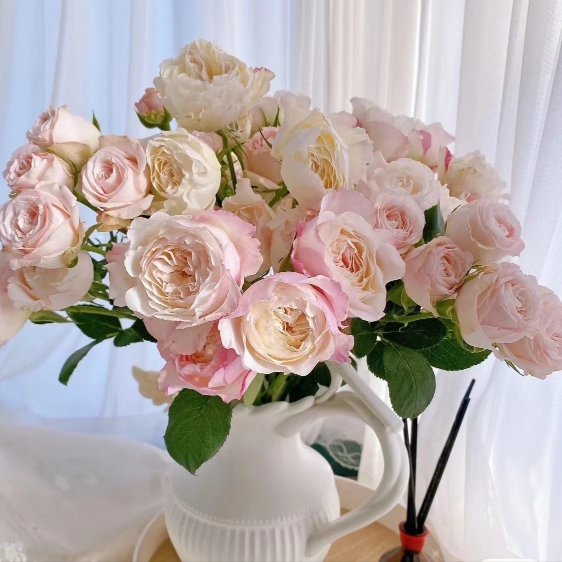 多头凯拉 - 玫瑰（注意：一定一定带包装醒花，不然会散瓣哦！）