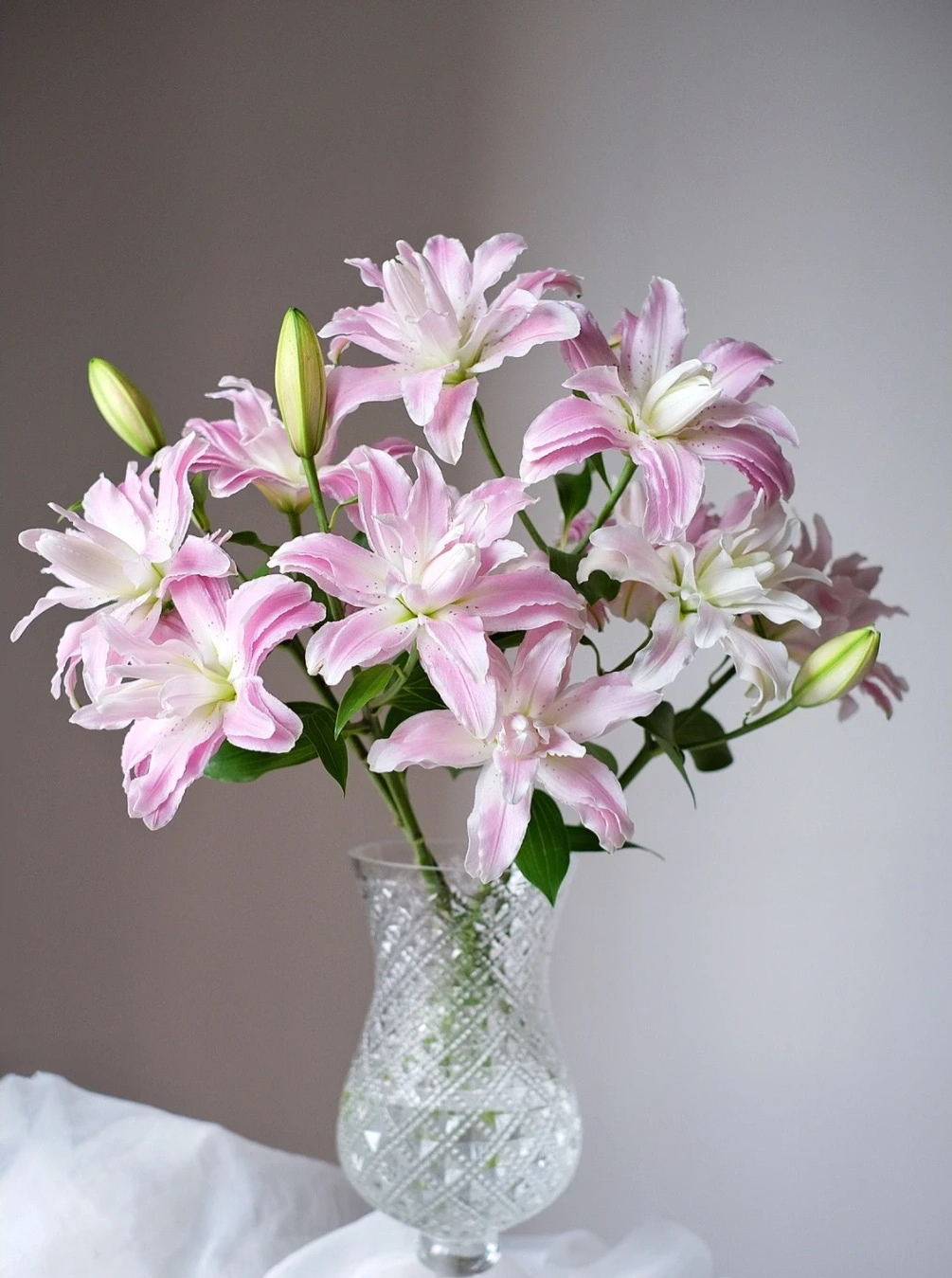 【如熙臻品】多头莲花雅致 -重瓣百合（3支）