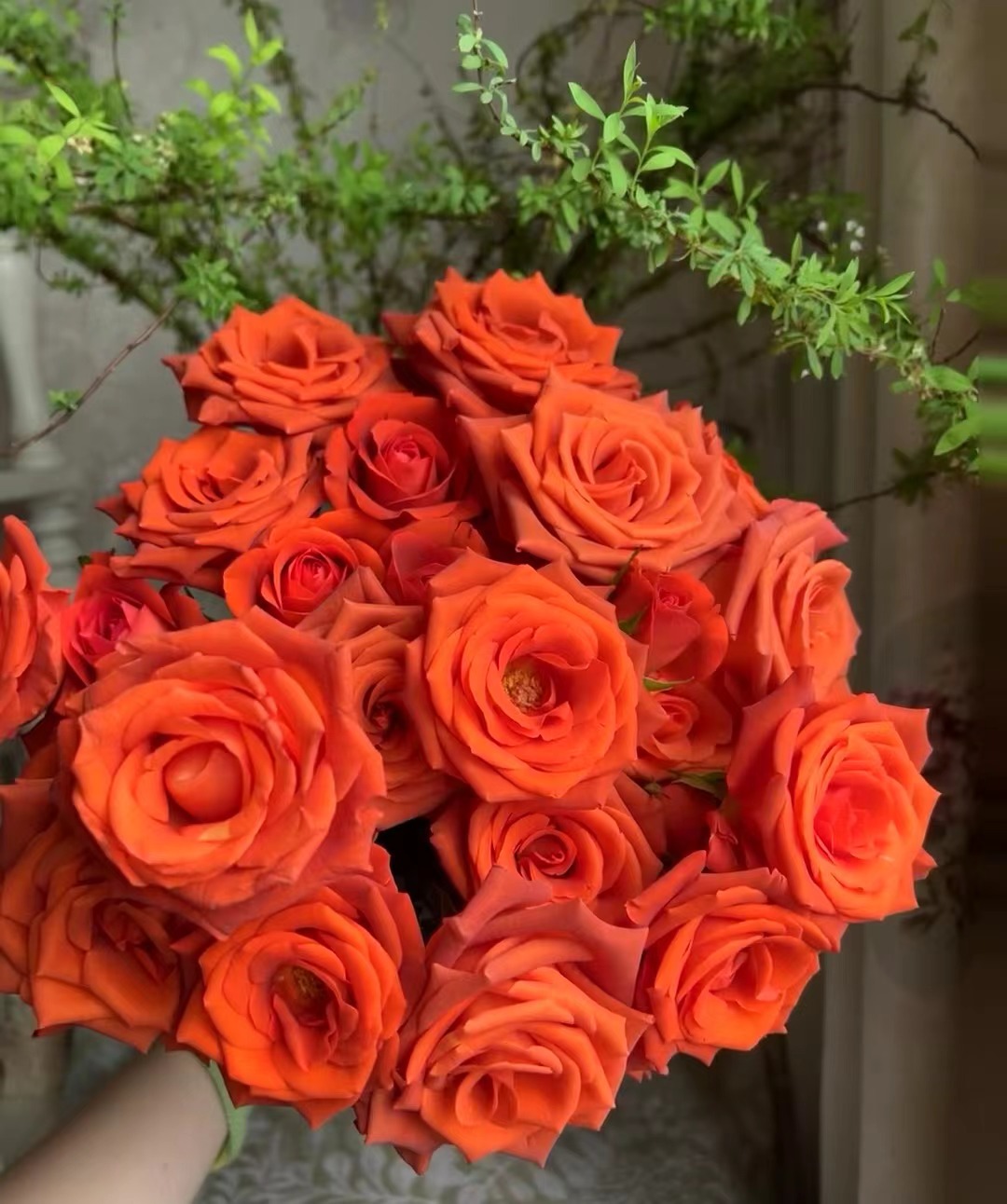 【如熙臻品】多头杏仁酒--- 玫瑰（注意：收到带包装醒花哦！）