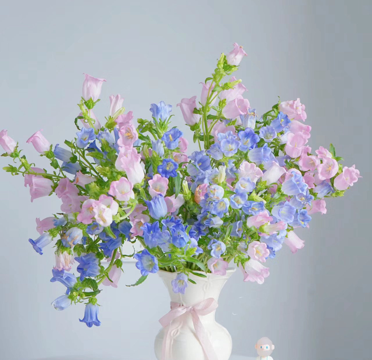 【如熙臻品】（一大把）三色风铃花（注意：收到带包装醒花哦！）