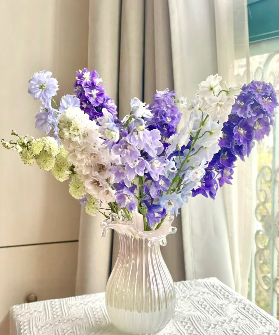 【如熙臻品】随机色大飞燕（注意：实物以直播间展示为准哦！）