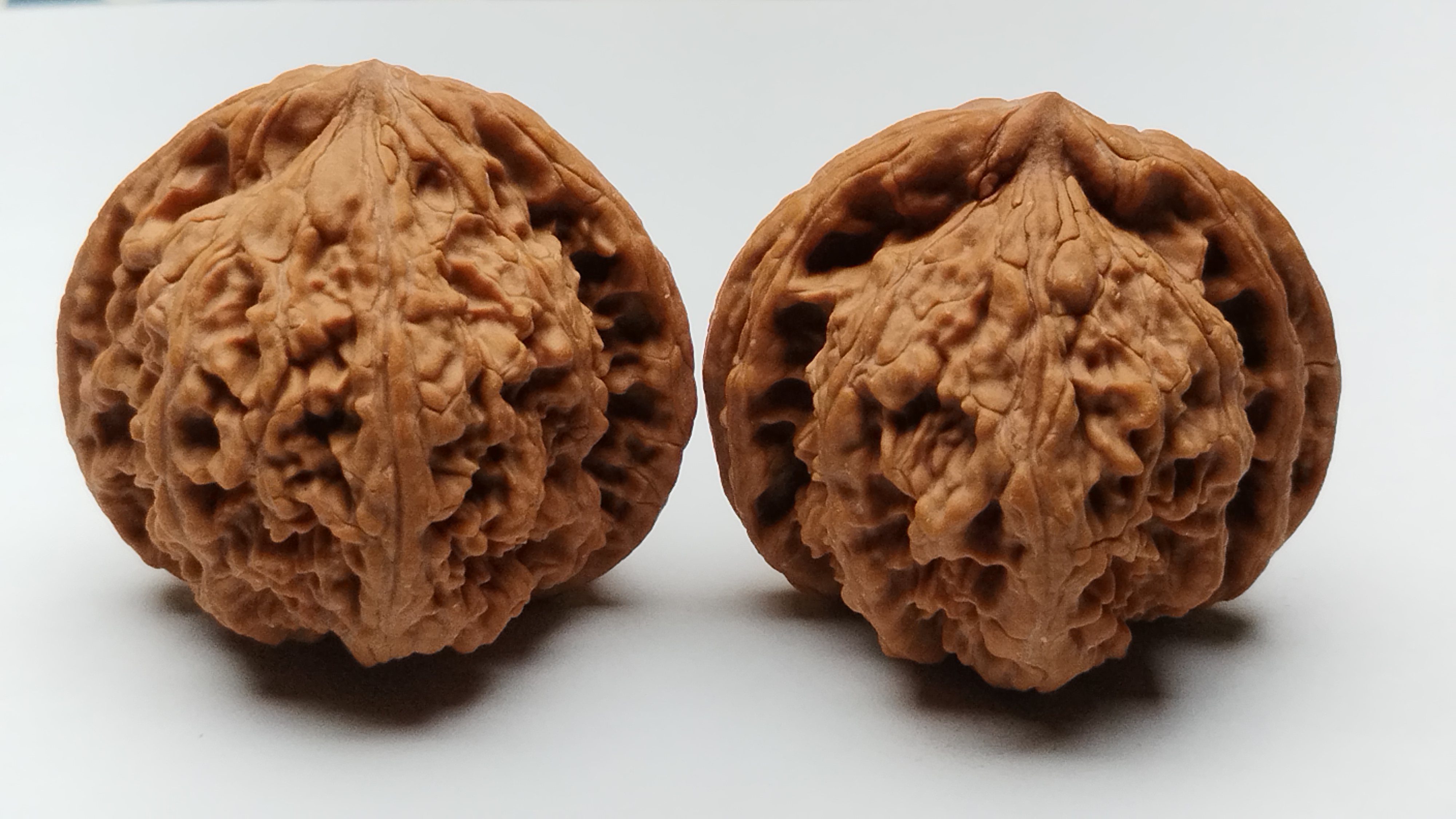 麻核桃 老树果 精品麻核桃  盘就玩了。涞水麻核桃