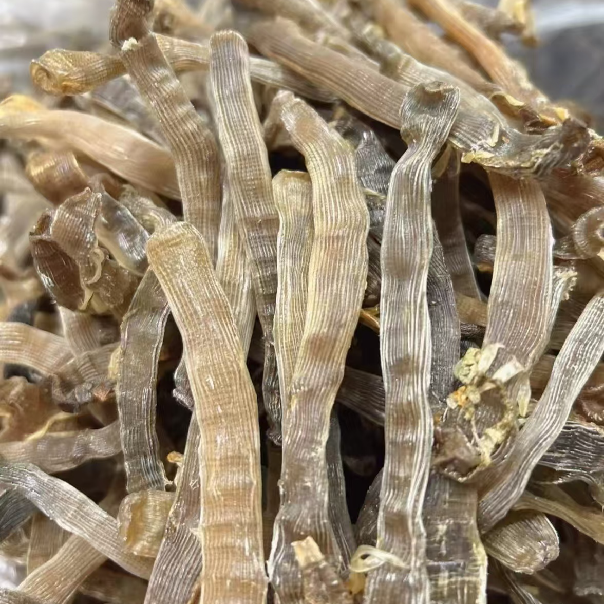 精选 沙虫干（海洋虫草）