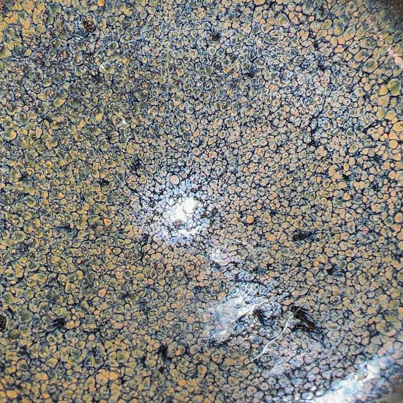 【闪购商品】玻璃茶盏39