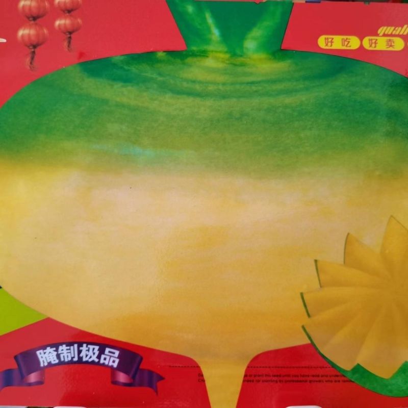 老品种 布留克种子 秋播露天卜留克恰玛古圆蔓菁种子芜菁蔬菜种孑