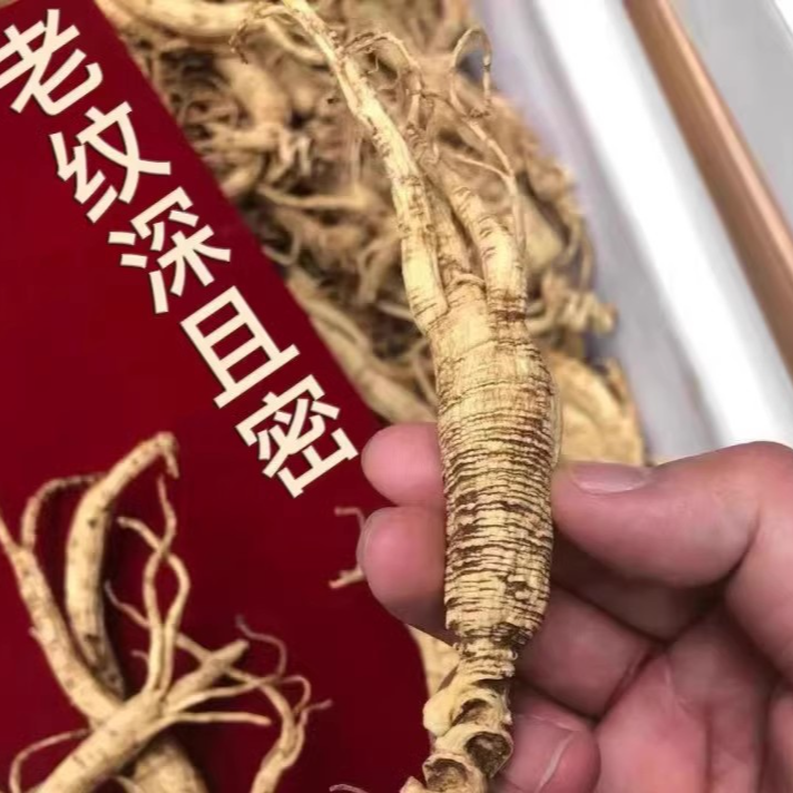 林下参30年长白山参人参整枝参一棵重20克左右长30公分晒干高龄参