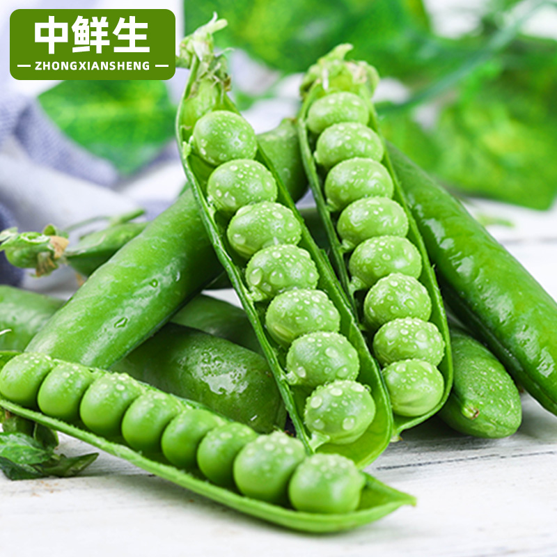 云南农家新鲜豌豆现摘蔬菜包邮高原甜豆豌豆荚新鲜农家豆荚