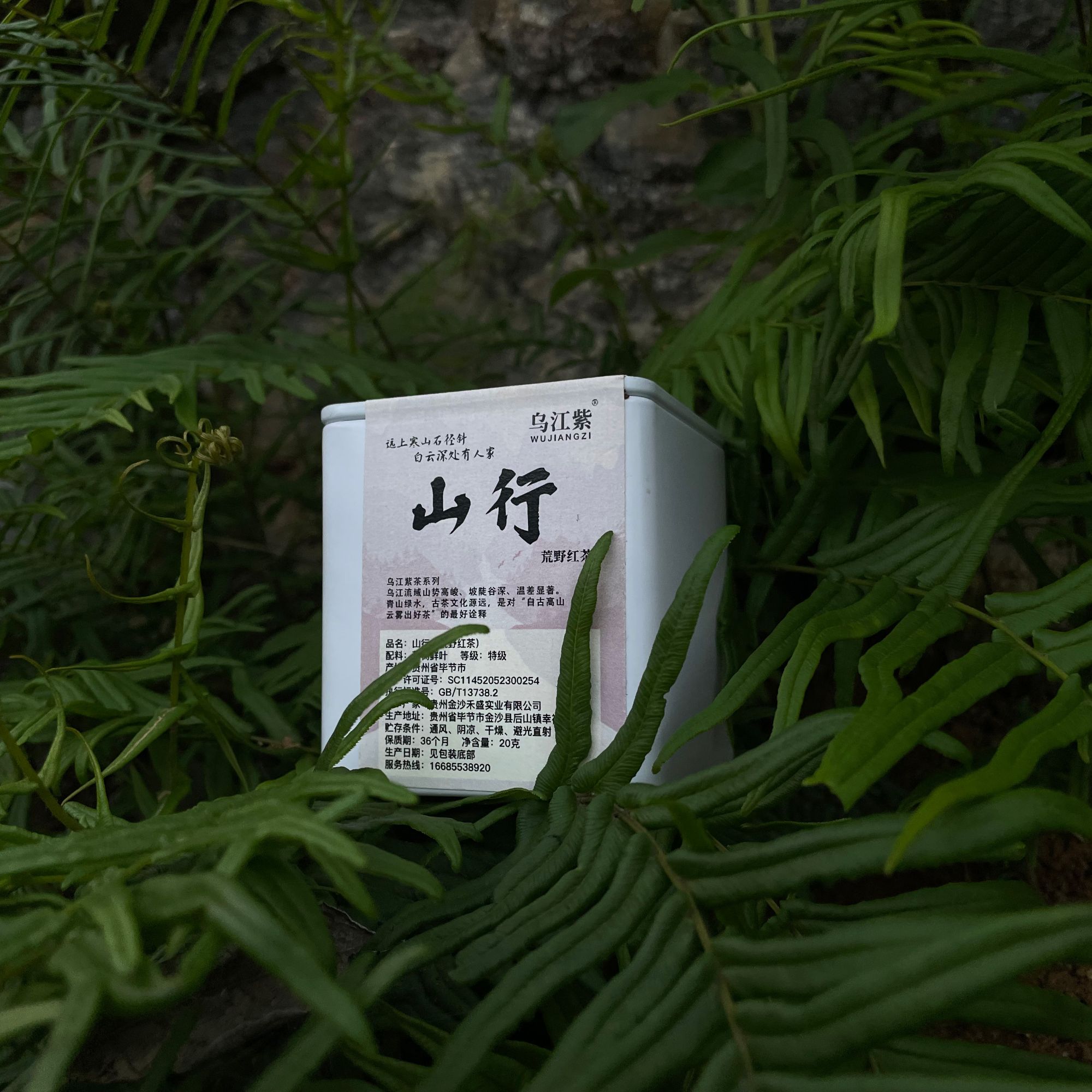 乌江紫乌江紫特级新品春茶叶20g小罐系列