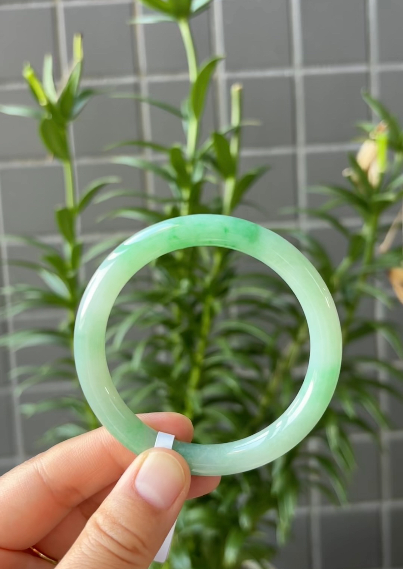 F（上新）细糯辣阳绿细圆条54.5圈高货瑕疵纹多缅甸翡翠a货手镯