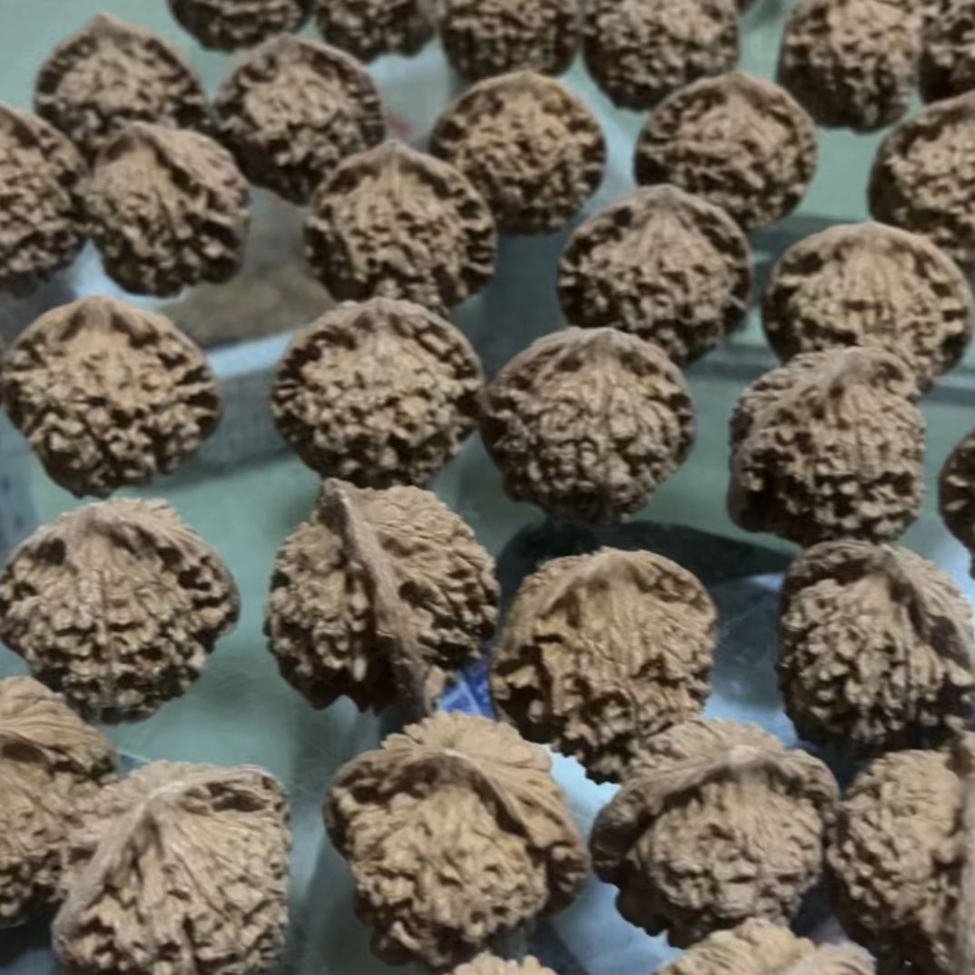 官帽四座楼苹果园白狮子文玩核桃手把件白茬