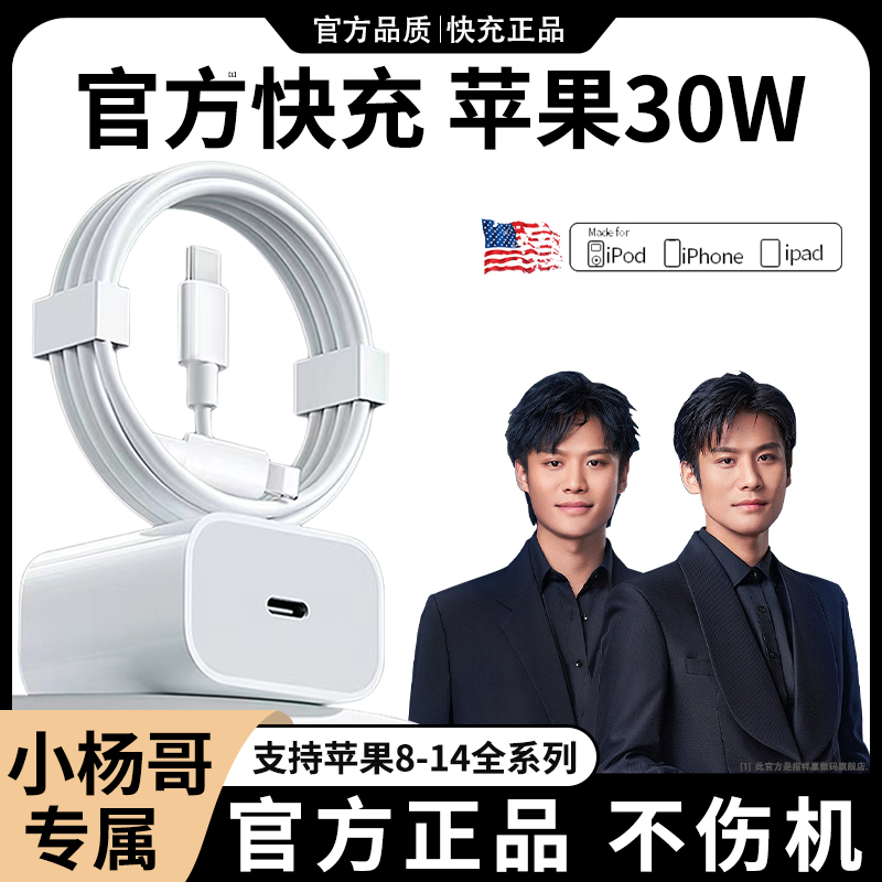 小大扬哥推荐30W适用苹果充电PD头数据线快充2平板器手机原装正品