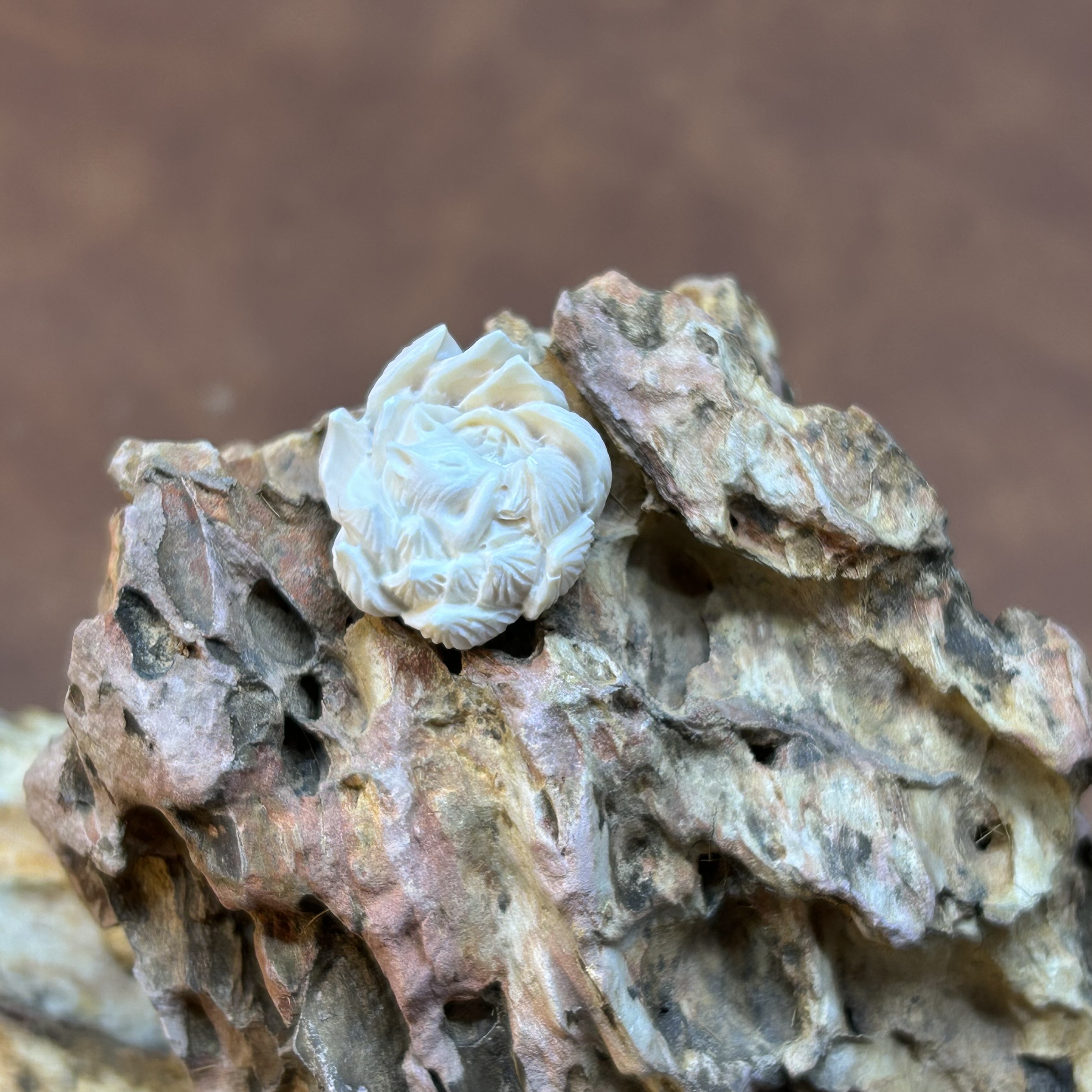 【再序】精品原色雕刻猛犸牙   九尾狐DIY配饰约19*10mm