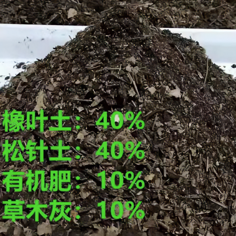 精品君子兰专用土家庭花卉养殖松针木炭河沙像树叶经典七合一配比