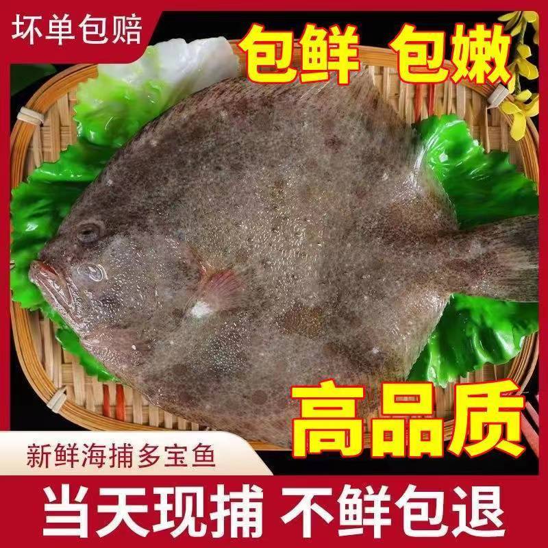【味之鲜】5条 鲜活速冻多宝鱼 顺丰冷链 新鲜海鲜 7-9两/条