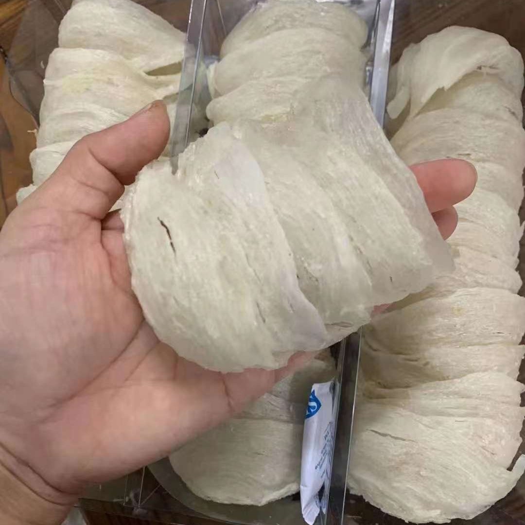 【三三】窝窝块 白木 30g