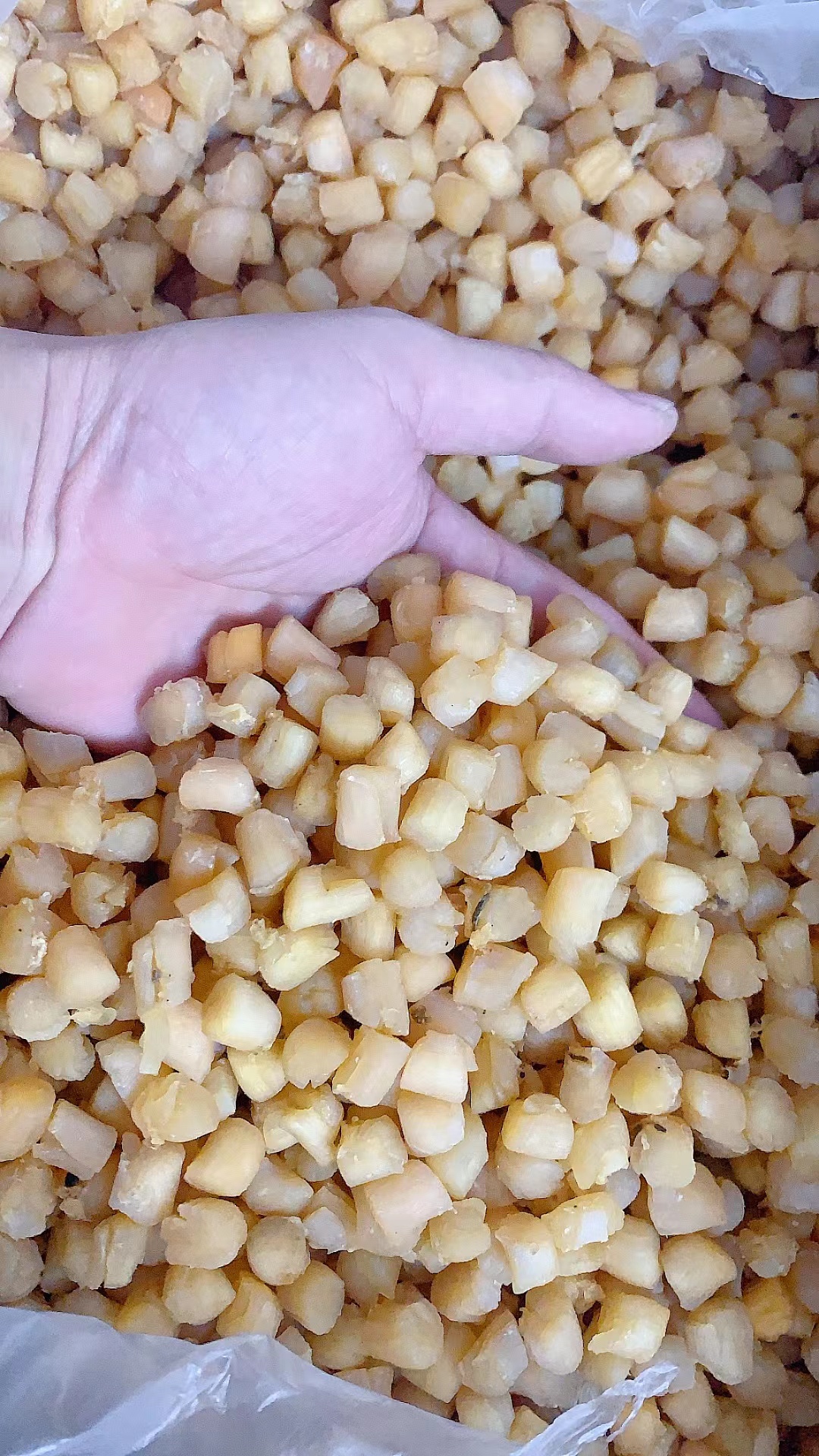 海鲜小干贝   500g