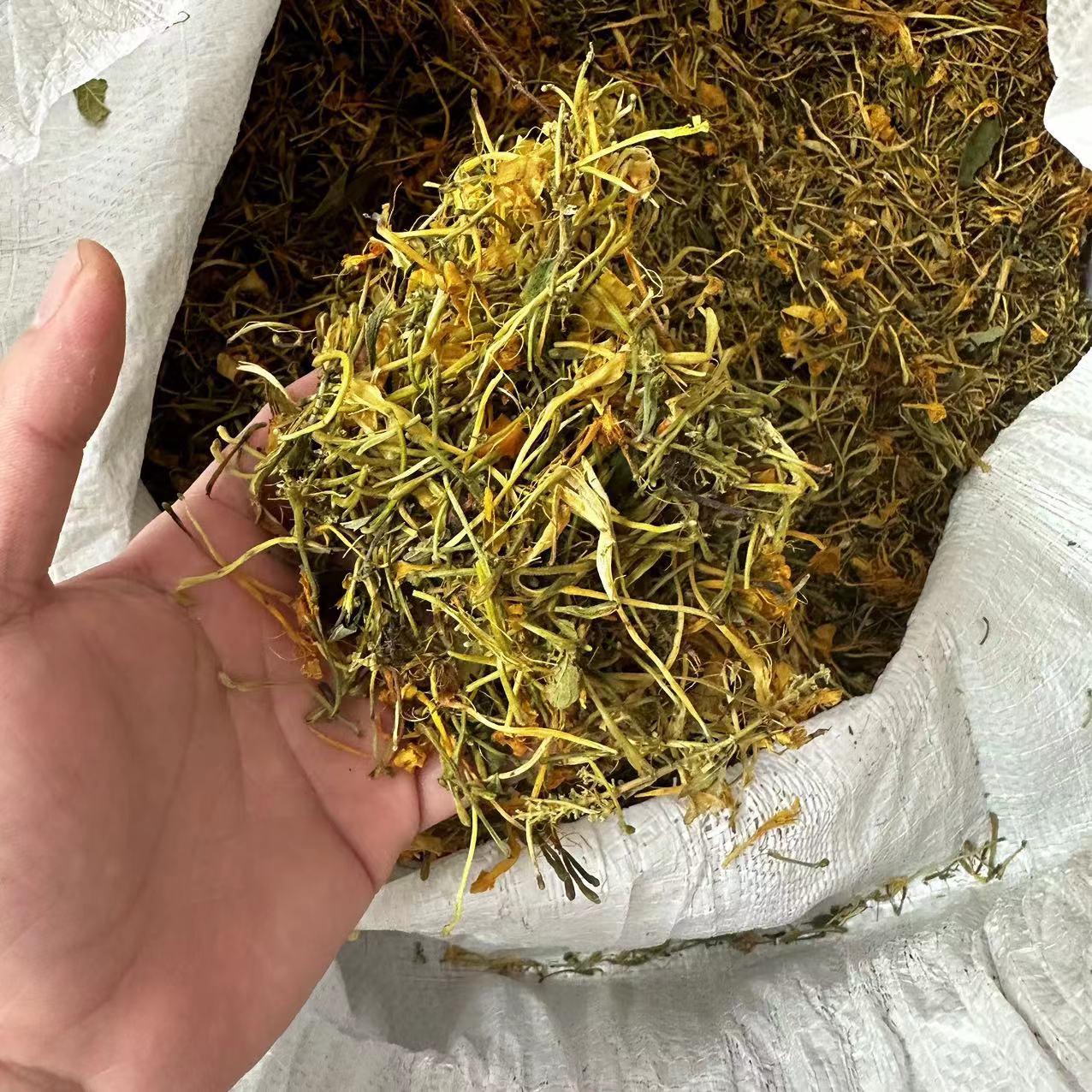 【三三】五彩金银花 200g