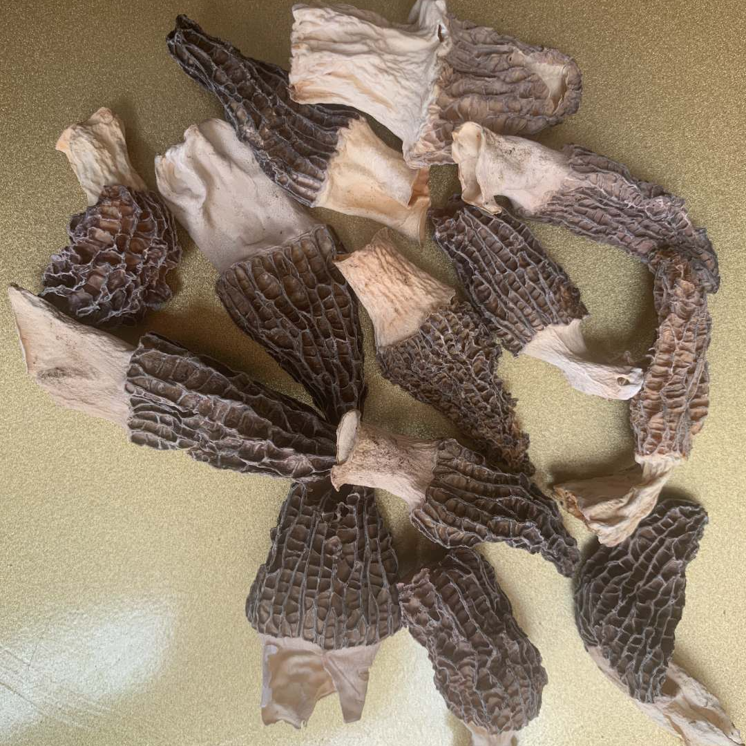 【菇尚鲜】2025云南高原破损破碎头茬干货羊肚菌 250克