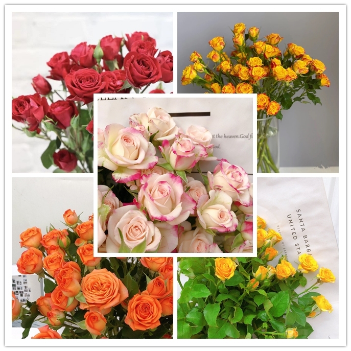 【50单内运费6元】云南鲜花花店用花玫瑰泡泡腊梅康乃馨洋桔梗草花