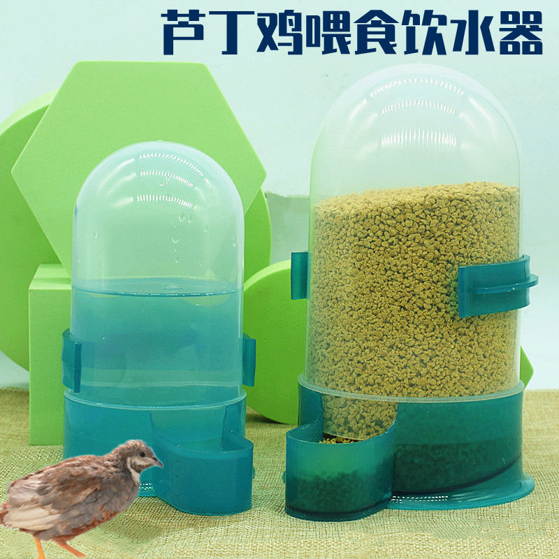 Z325芦丁鸡喂食器自动饮水器保温养殖箱鹌鹑饲料下料器鸽子自动