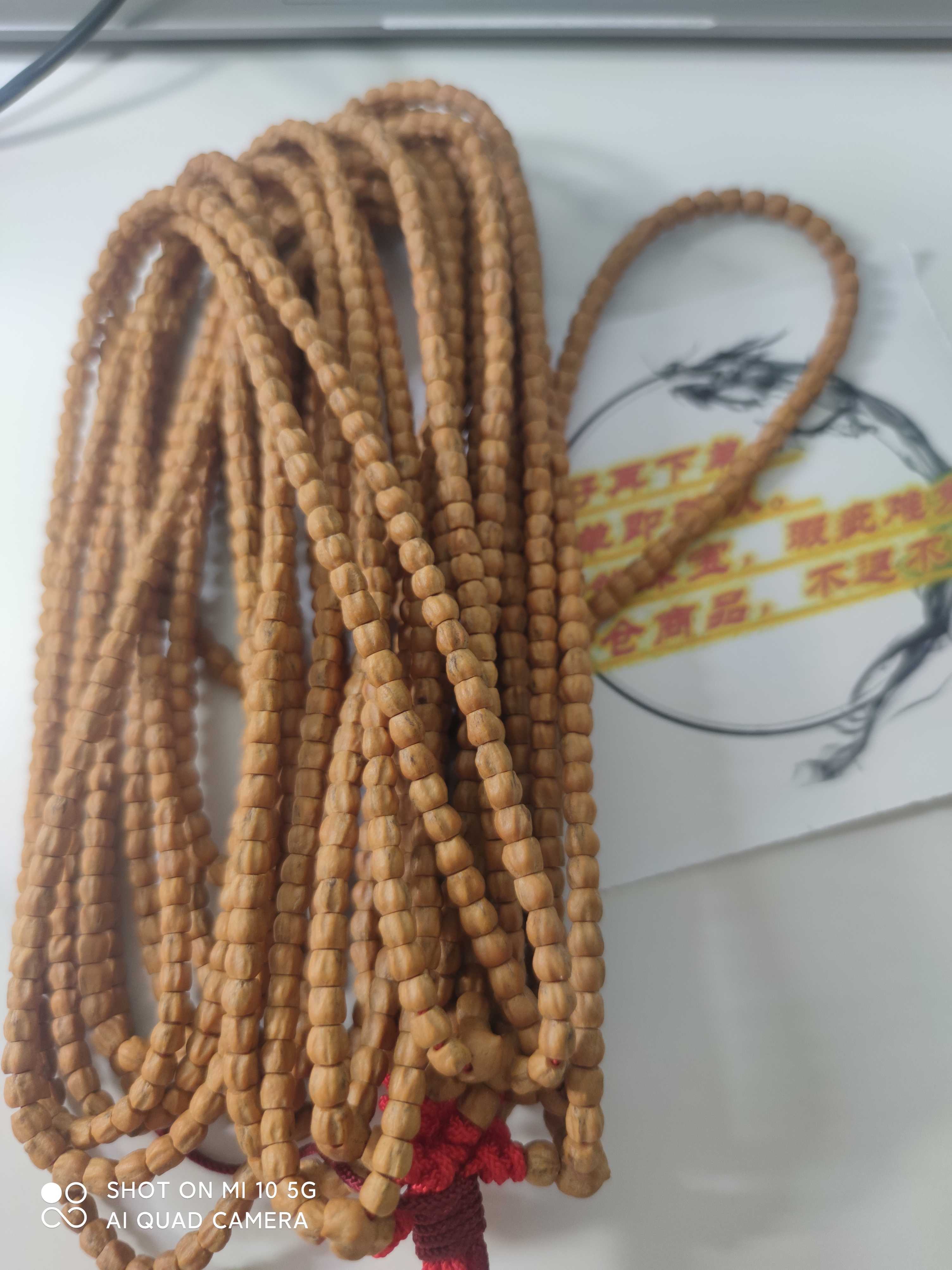 莫兰迪色系百香籽