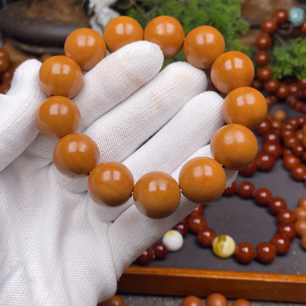 【闪购商品】橄榄核手串6*9