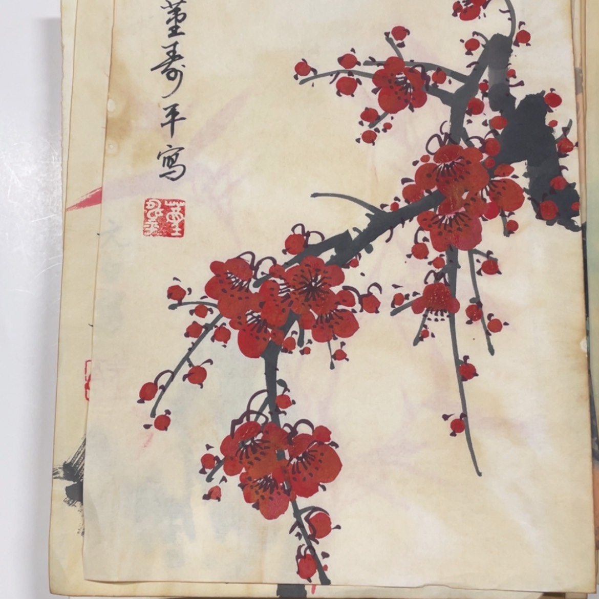 【闪购商品】绘画阳****
