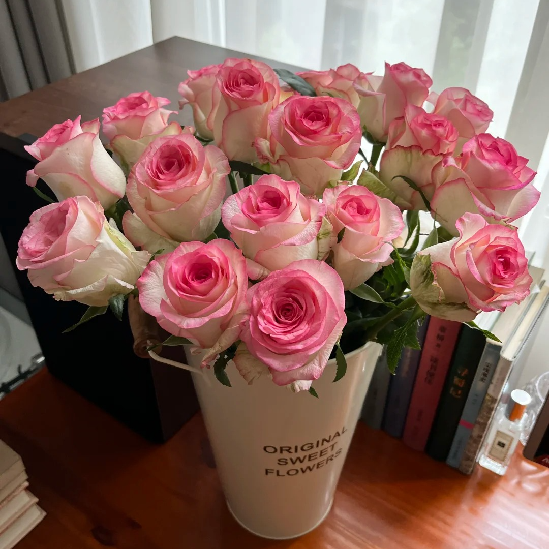 【花王朝】单头玫瑰艾莎 任意2单以上包邮 发货后不支持退款