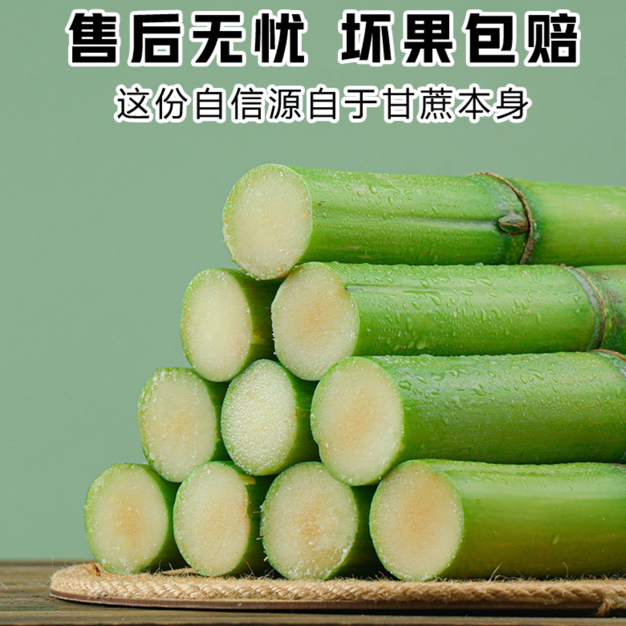 温州瑞安陶山甘蔗