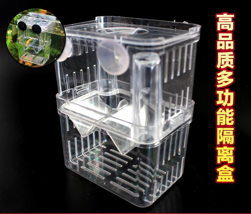 隔离盒 孔雀鱼繁殖器 隔离保护小鱼