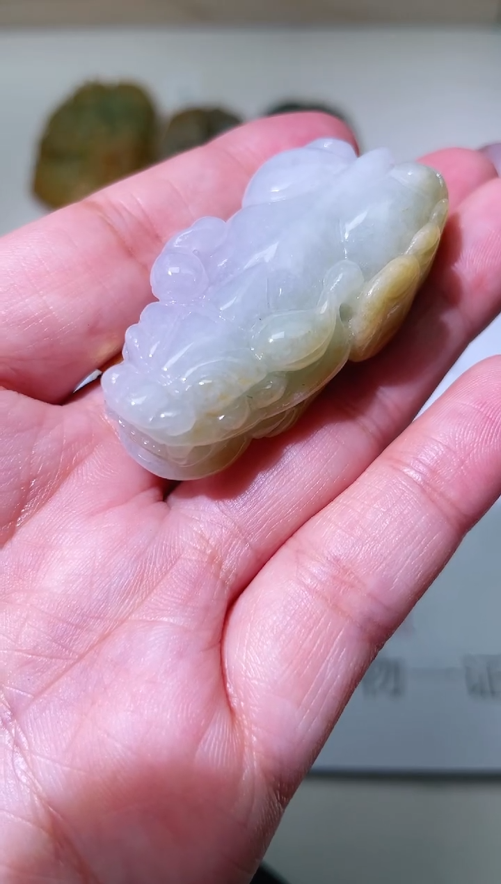 【闪购商品】翡翠颈饰未镶嵌0847906076