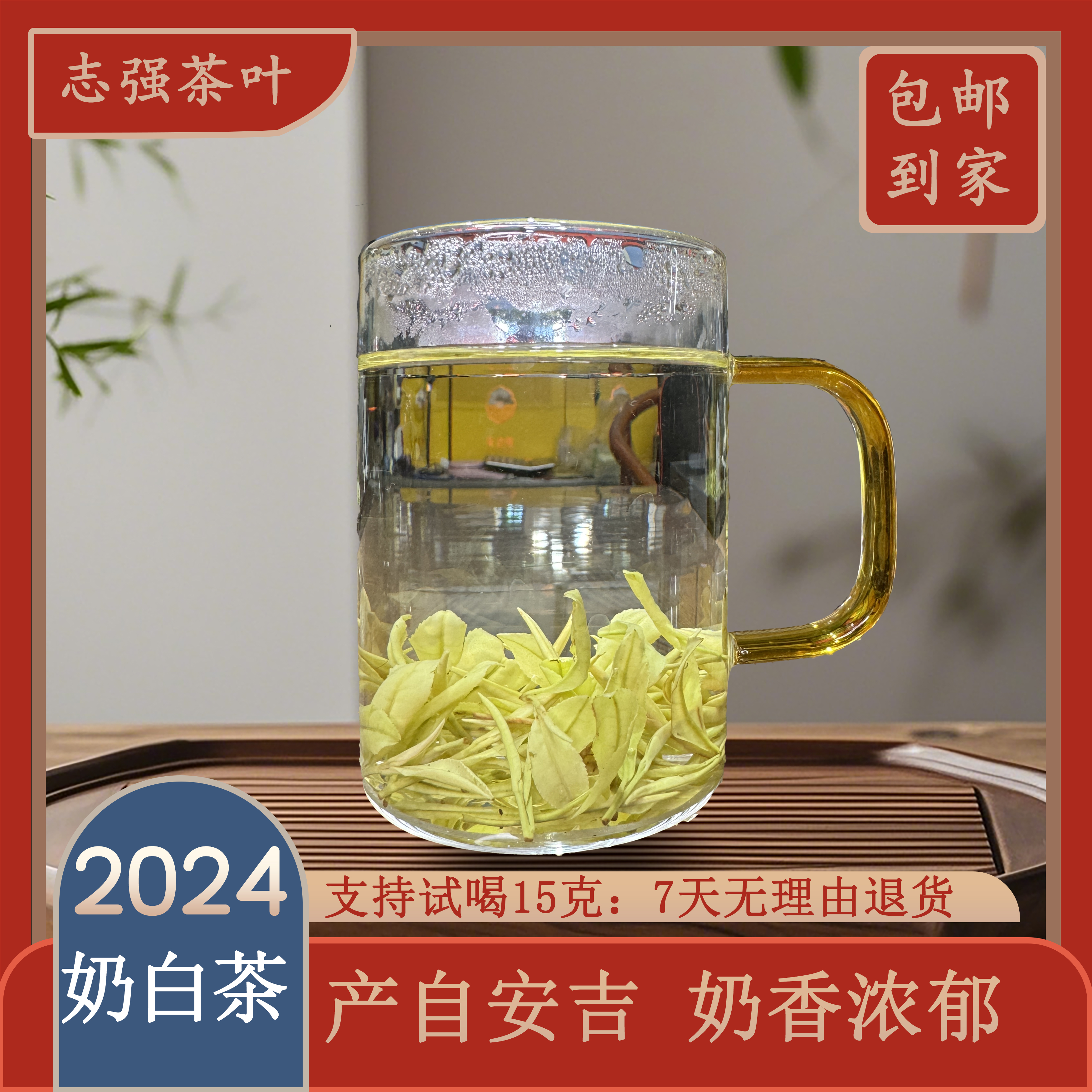 2024年春茶新茶奶白茶安吉奶香浓郁口感鲜醇好喝有回甘