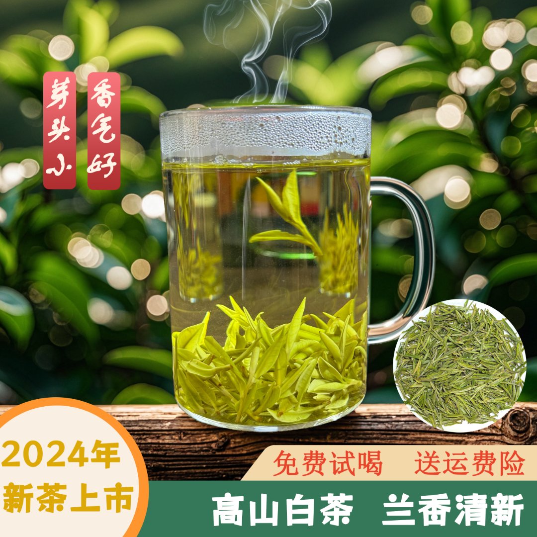 2024年春茶新茶小芽头高山绿茶兰花香气鲜爽甘甜实惠白茶