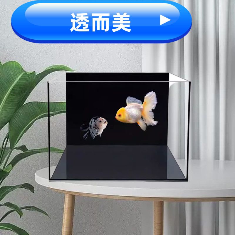 透明溪流缸雷龙黑背鱼缸小型鱼缸玻璃鱼缸家用