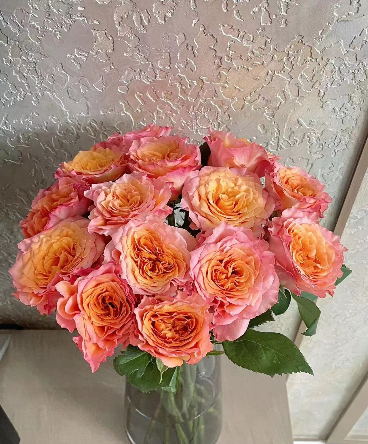 火灵鸟玫瑰     同一地址任意两单加配草一扎