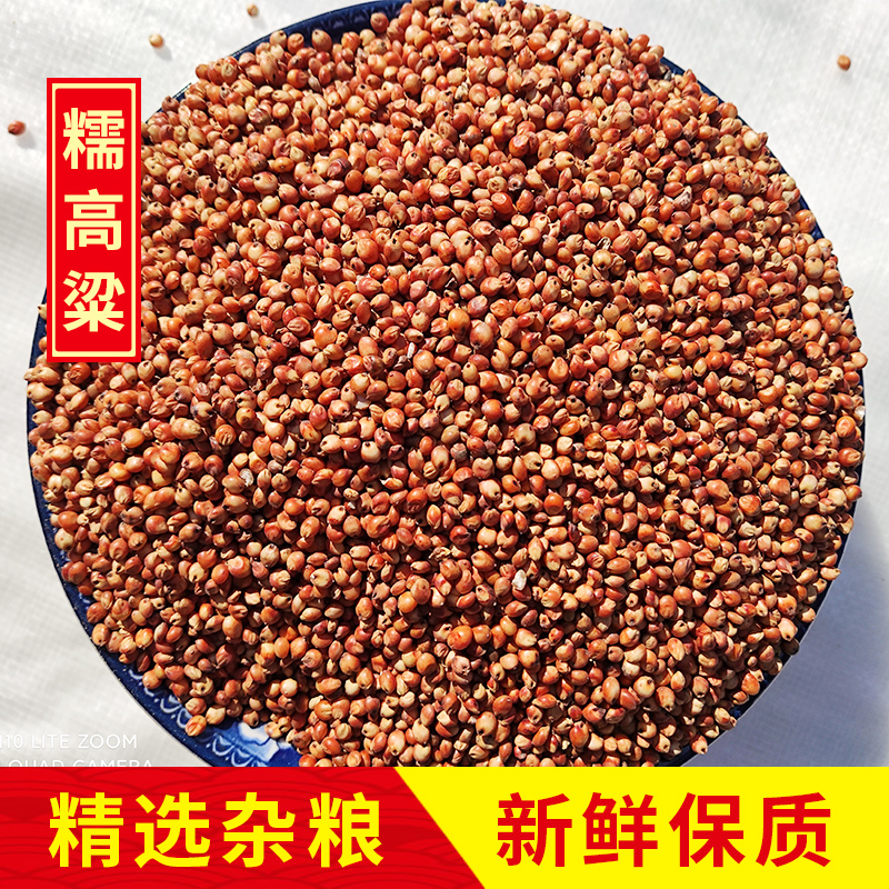 2022年糯红高粱20斤10公斤去壳带皮糯高粱去壳黏高粱鸟食