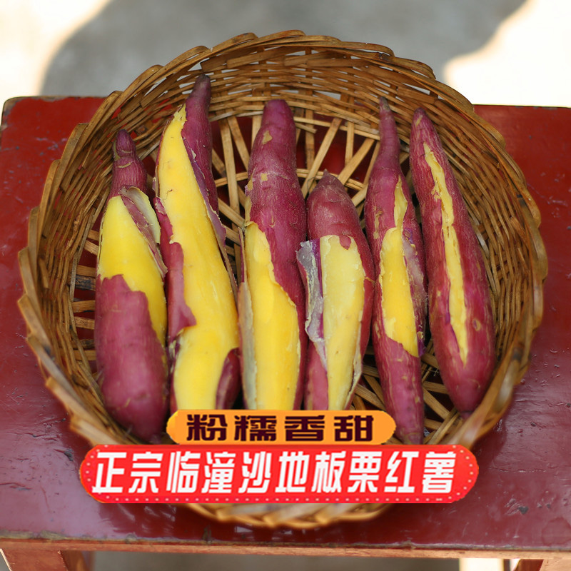 陕西西安临潼板栗红薯干面甜果肉细腻沙地红薯密薯地瓜番薯山芋