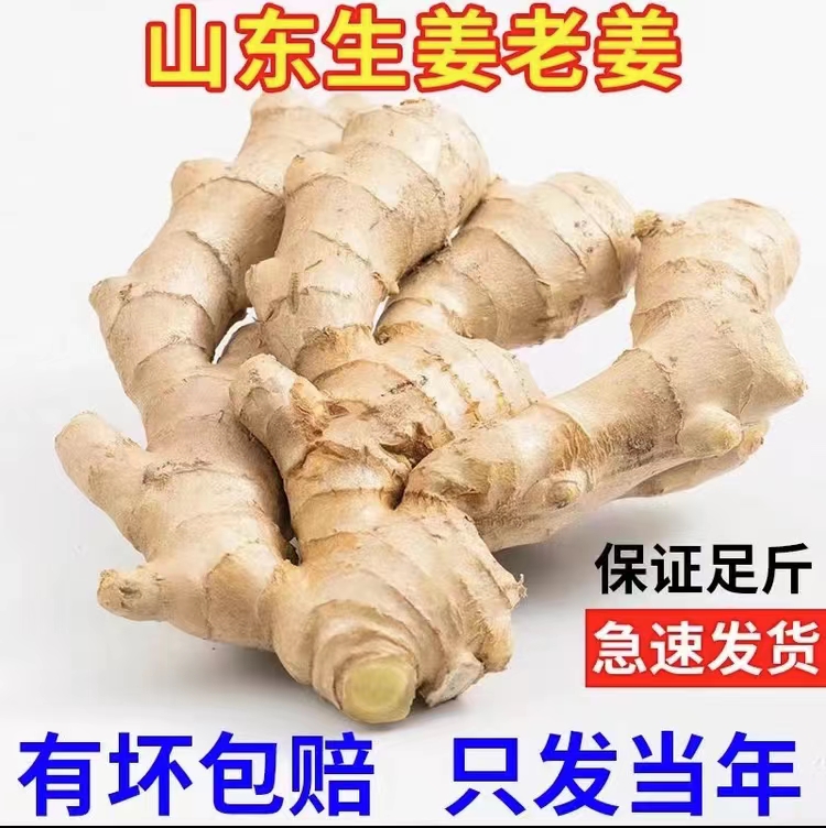 生态高山老姜大姜香辣大黄姜干净无土生姜蔬菜大黄姜月子姜生鲜姜
