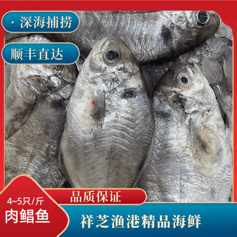 祥芝码头野生肉鱼，顺丰发货
