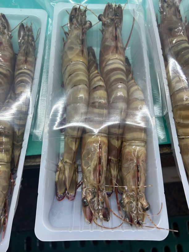 野生草虾（黑九节）顺丰发货