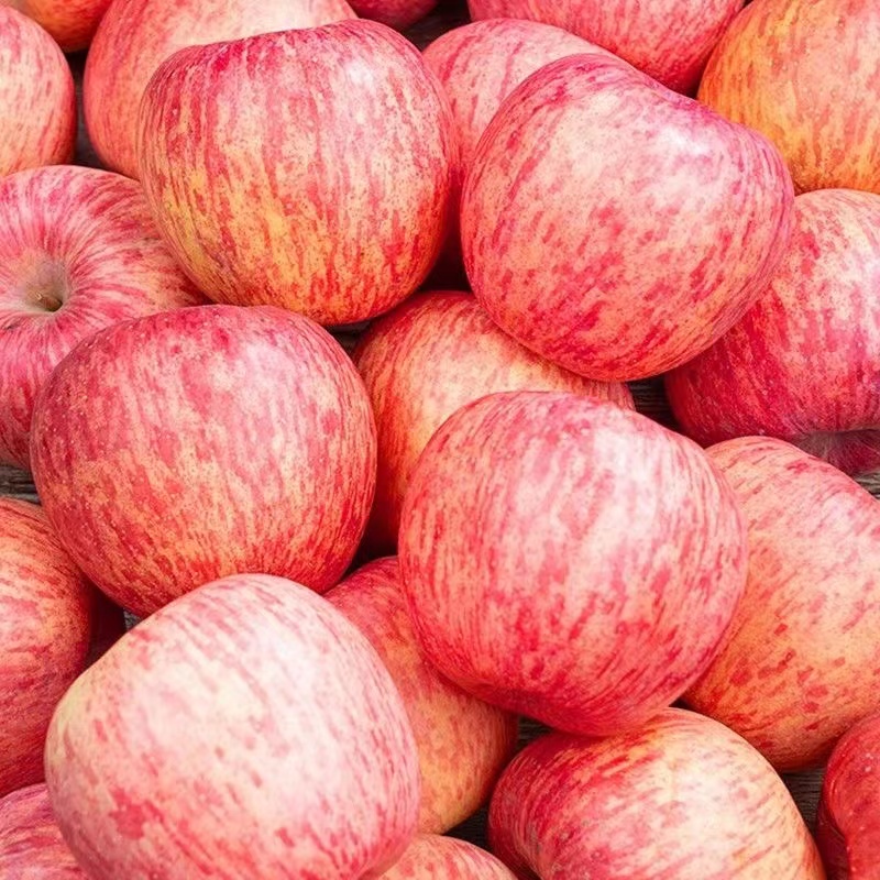 【抢购中】正宗红富士苹果1/9斤头茬脆甜冰糖心当季新鲜孕妇水果甜