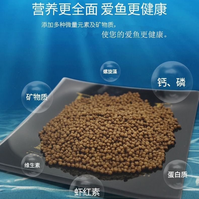 大川专用营养颗粒鱼粮泰狮-兰寿金鱼 增体增色高蛋白下沉赛级鱼粮