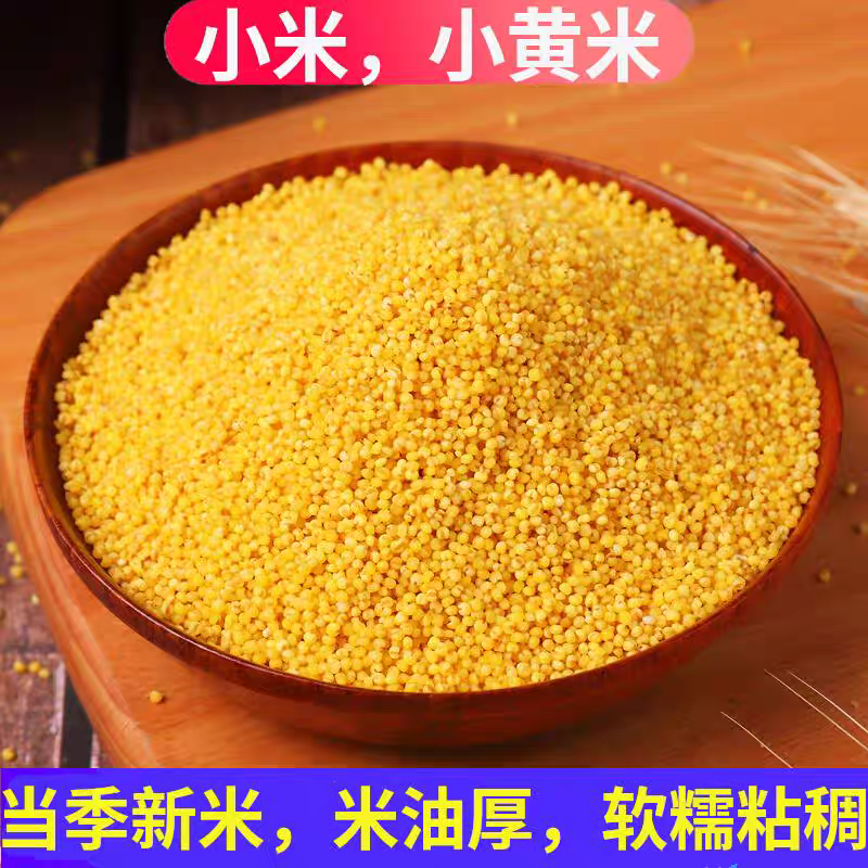 【黄小米】山东沂蒙山小米（3-5斤装）25年新米米油丰厚软糯粘稠